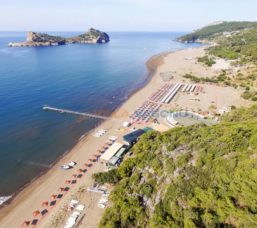 Sarıgerme