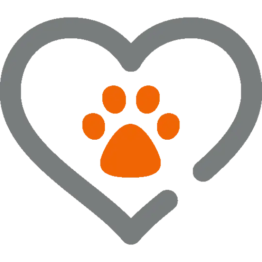 Evcil Hayvan İzinli